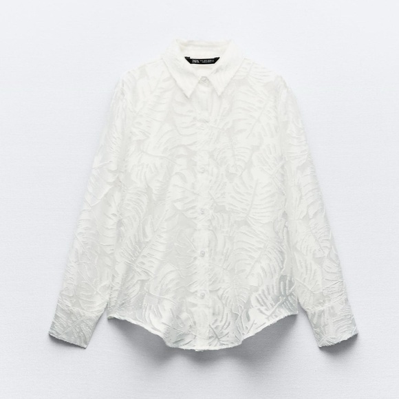 Zara Semi- Sheer top - Picture 3 of 5